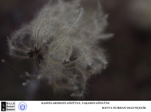 HAVVA NURHAN OLGUNÇELİK